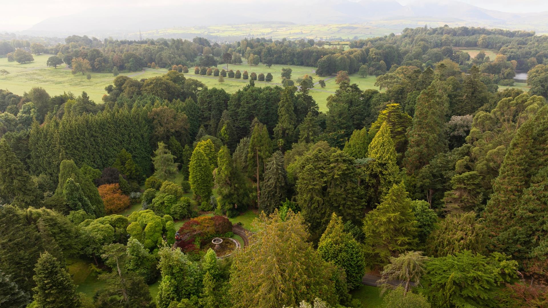 An aerial view of Castlewellan Forest Park