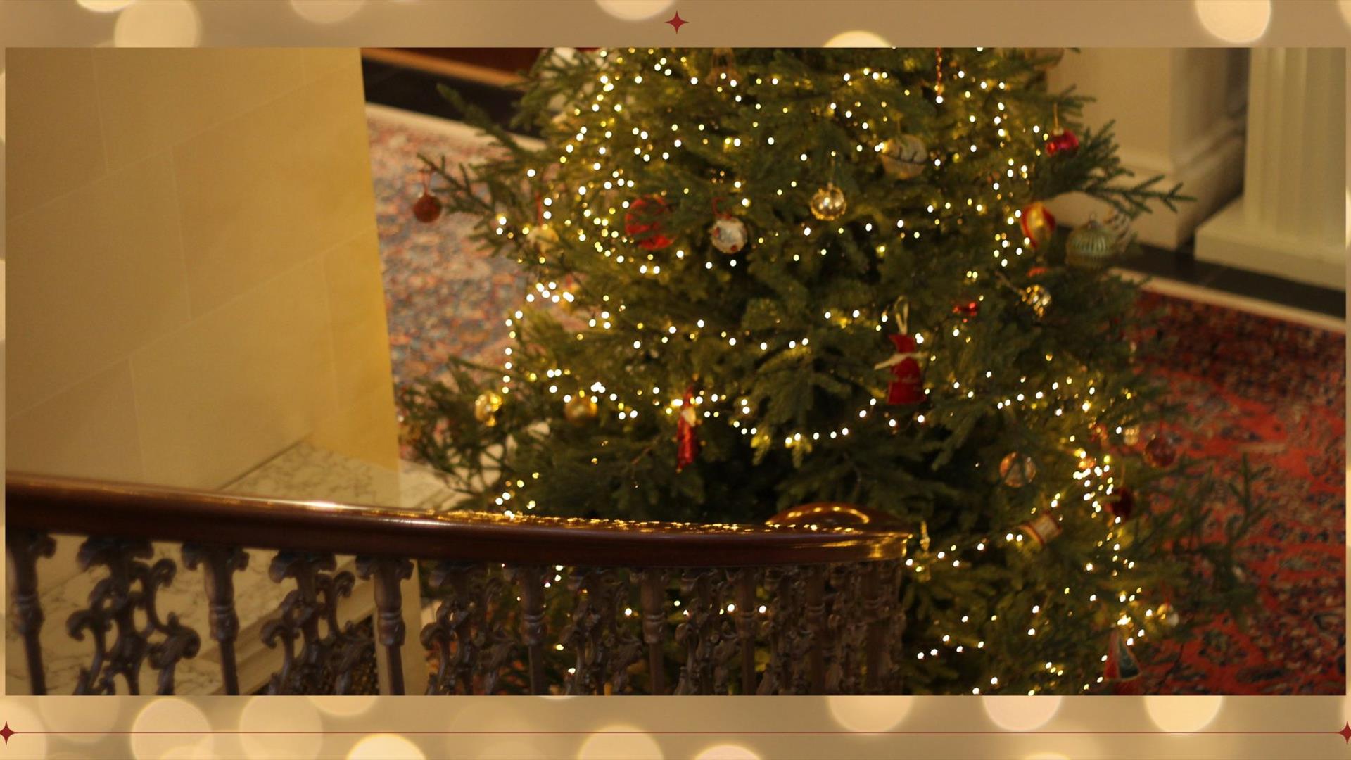 Christmas Tree in Montalto House