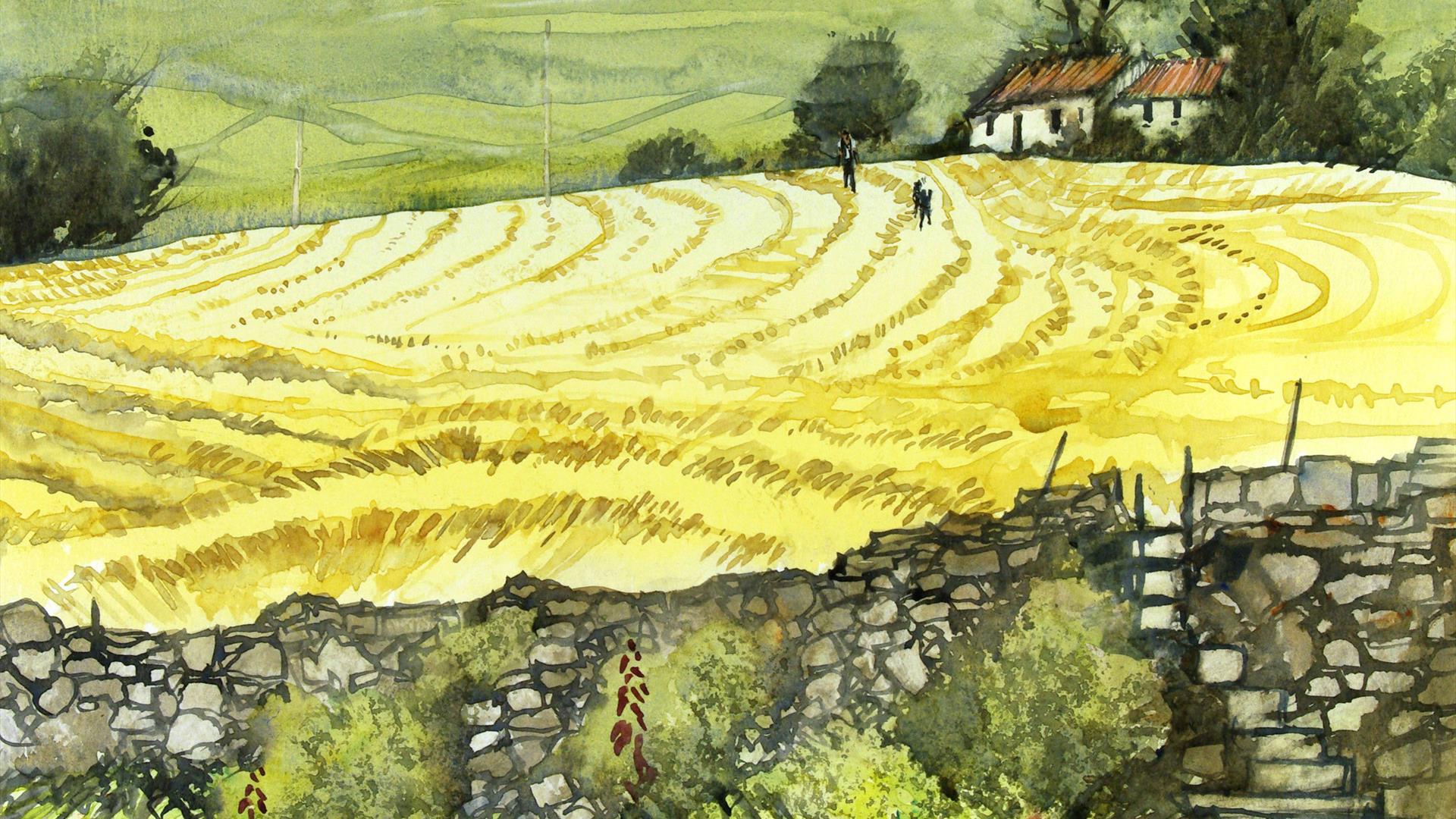 Watercolour image of a rural County Down landscape. Visible in the foreground is a stone fence, and behind is a field  of a yellow colour with marks i