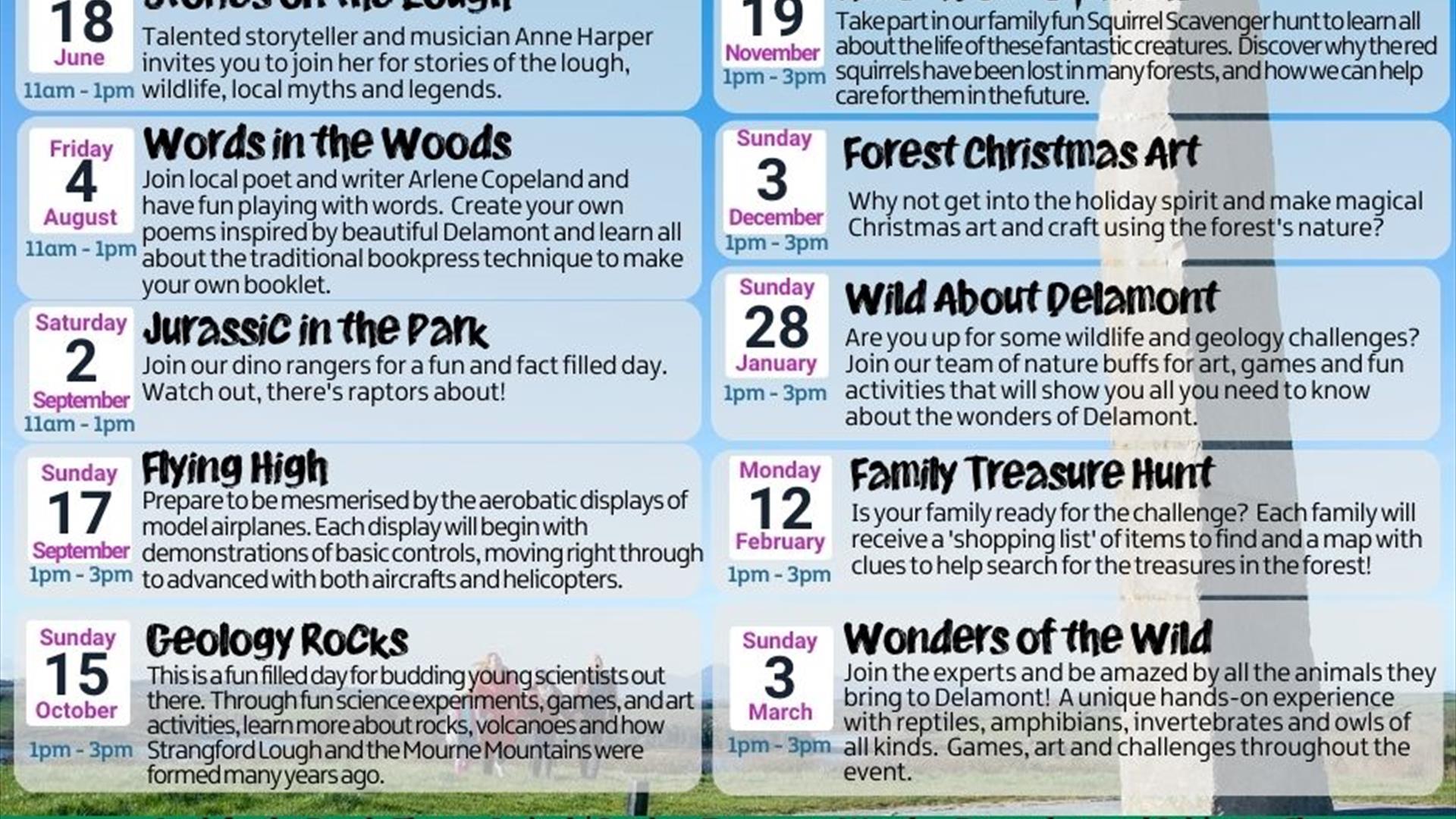 Forest Activities at Delamont Country Park