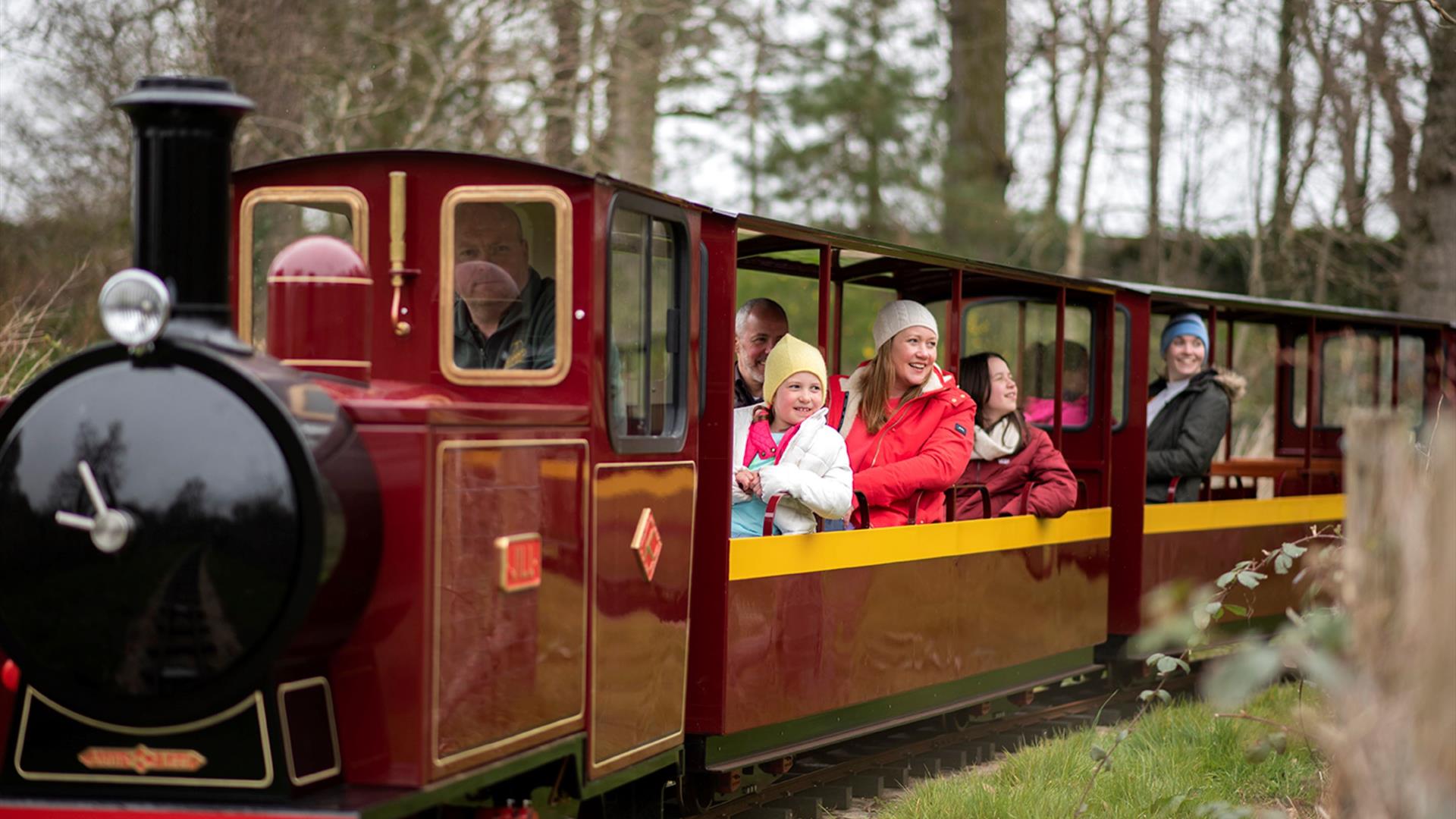 Miniature train in Delamont Country Park with people