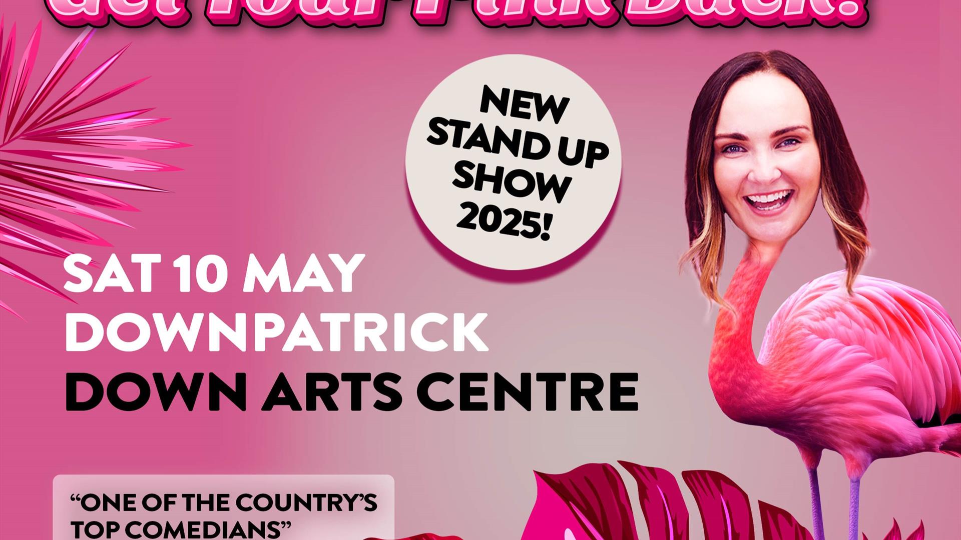 Poster Diona Doherty Get Your Pink Back!