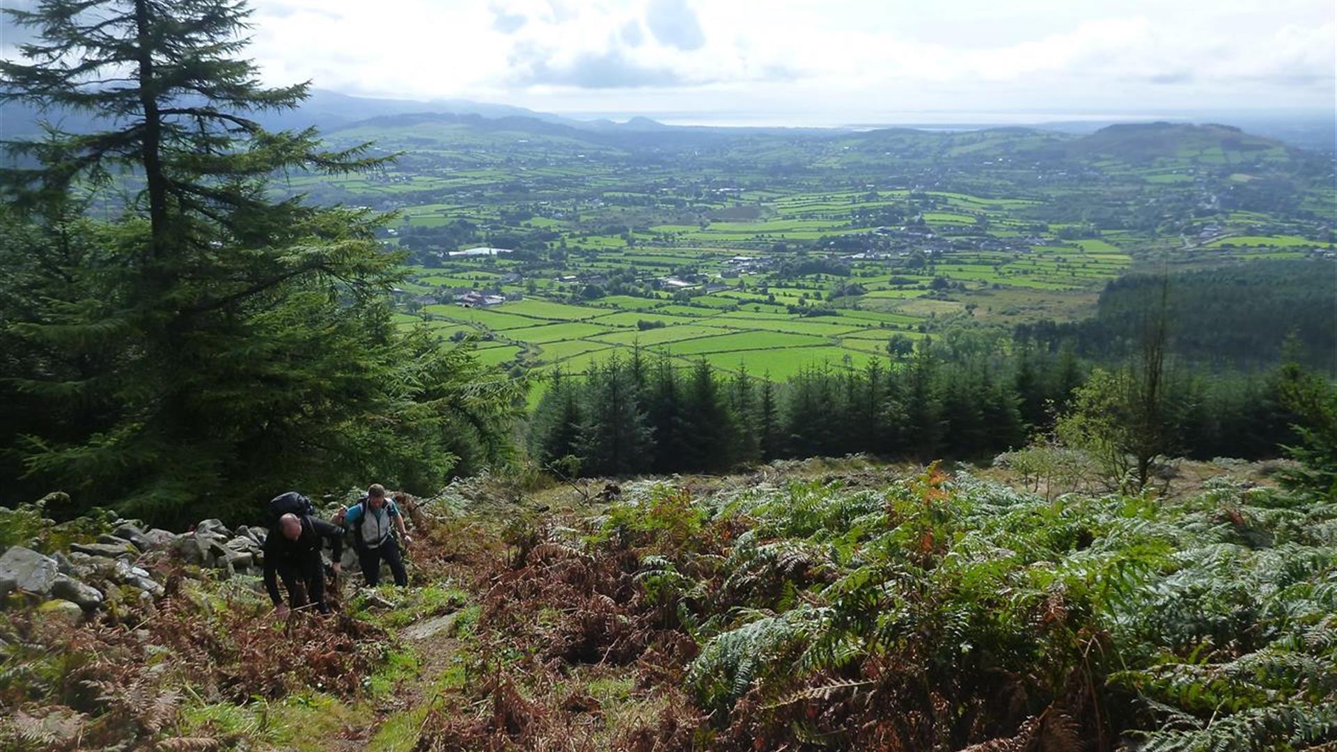 Famine Wall Walk - Mountain Ways Ireland