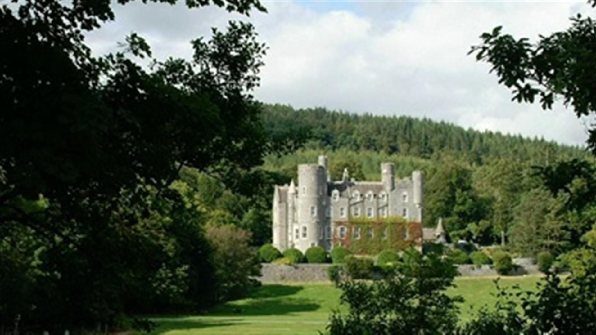 Castlewellan Forest Park - Lakeside Walk