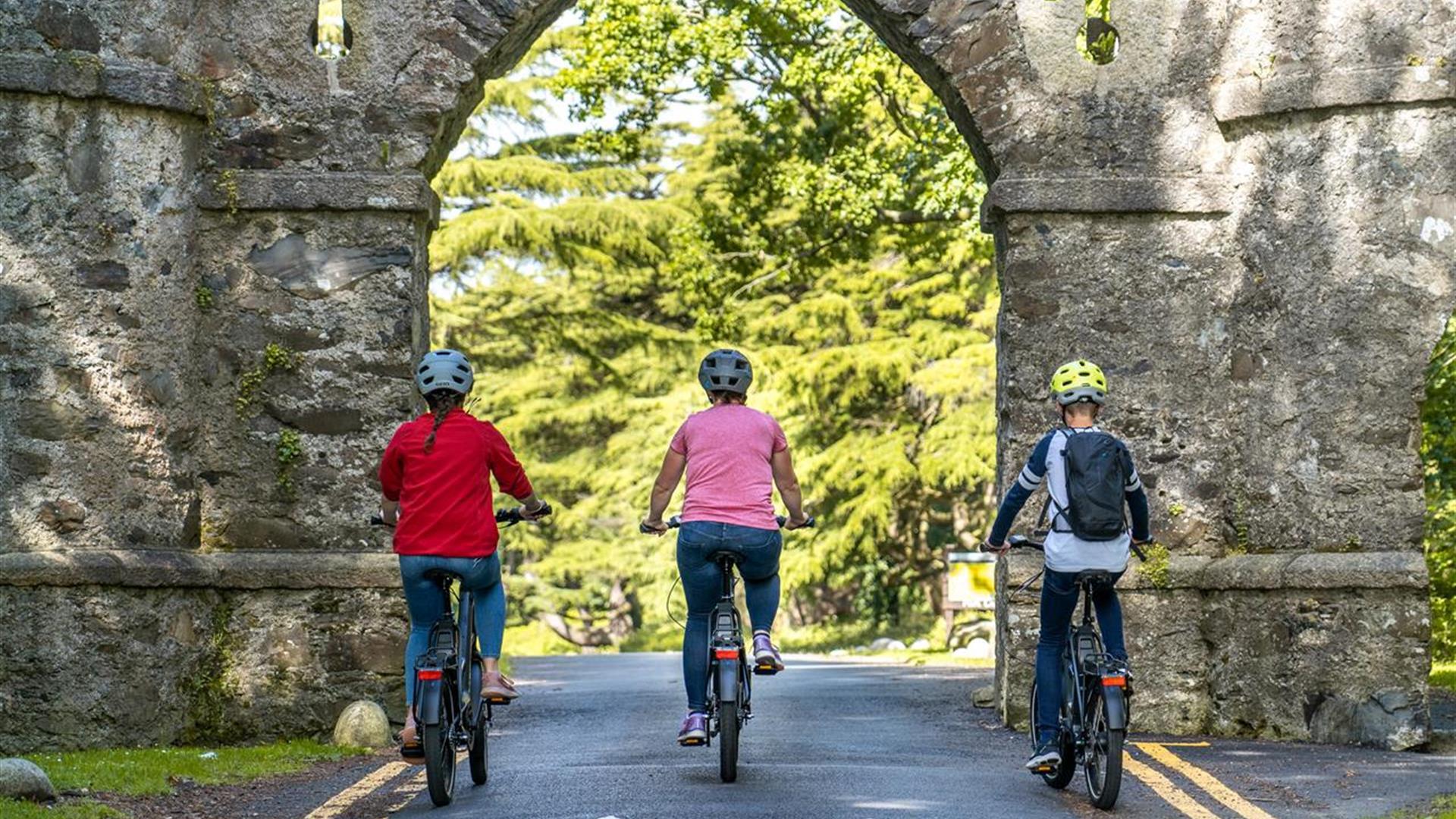 Ballyhafry & Beyond by Electric Bike– Bike Mourne