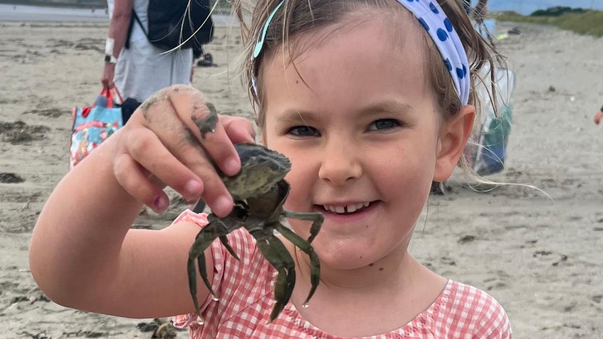 Child holding a crab up close to the camera