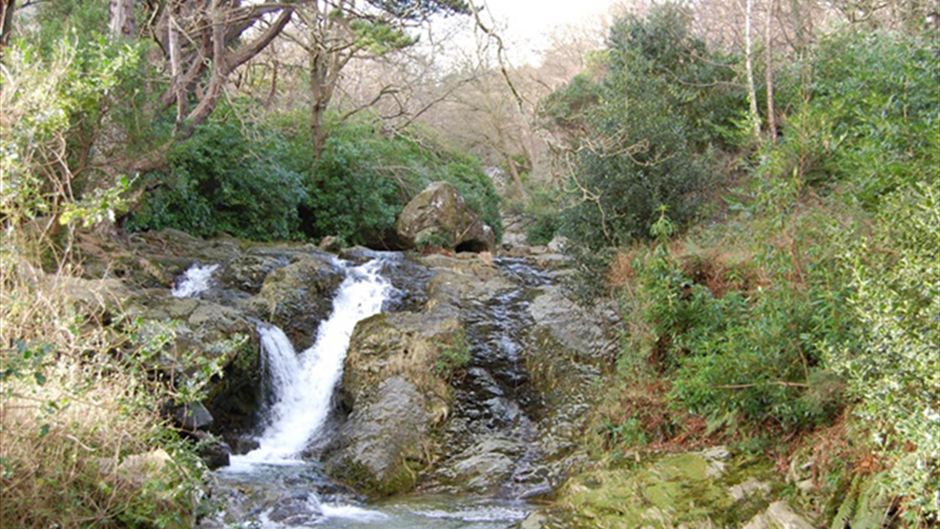 Glen River, Newcastle