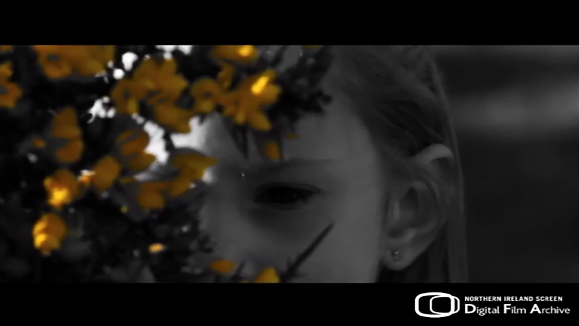 Gorseflower and black and white