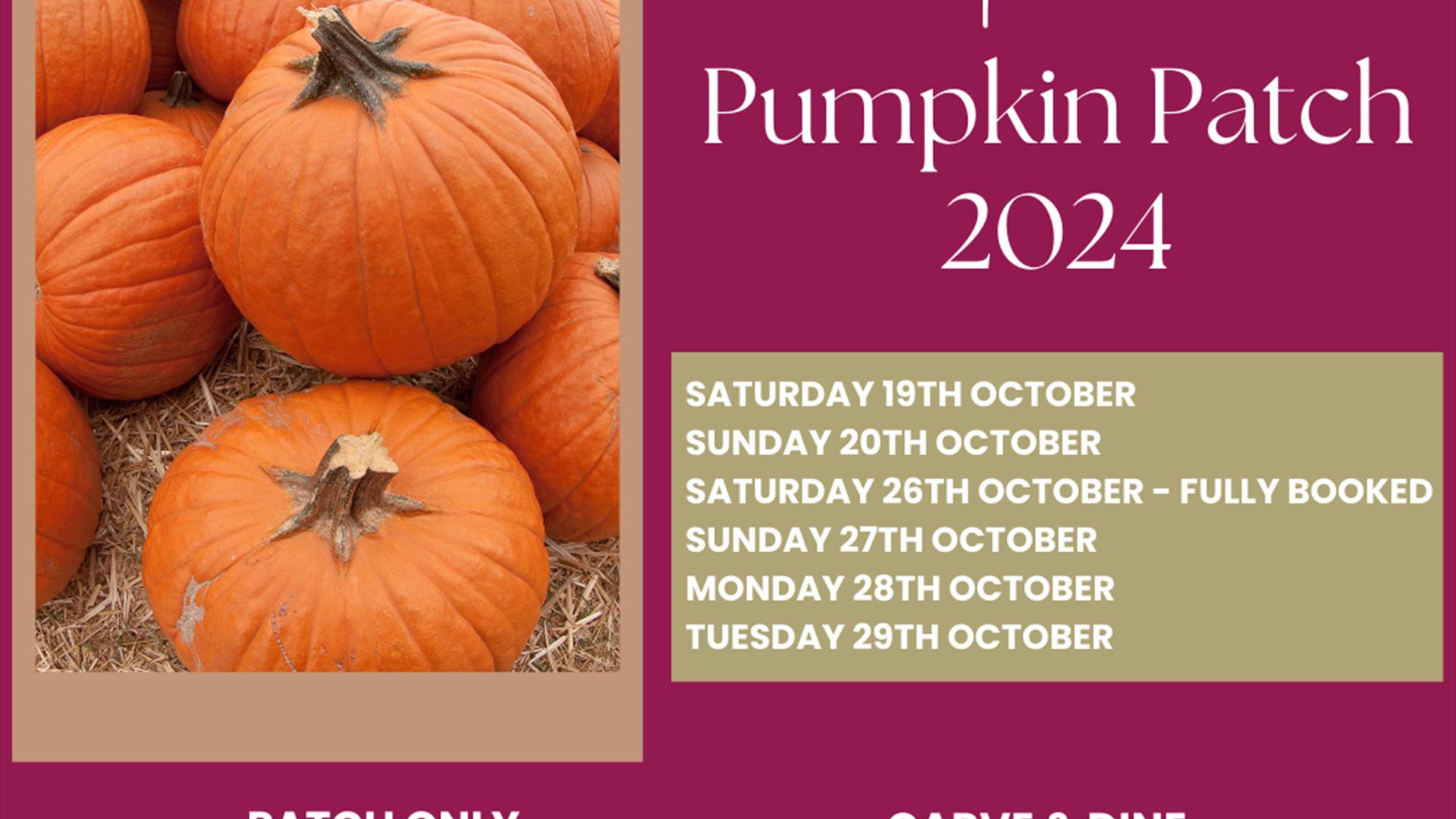 Pumpkin Patch Poster 2024