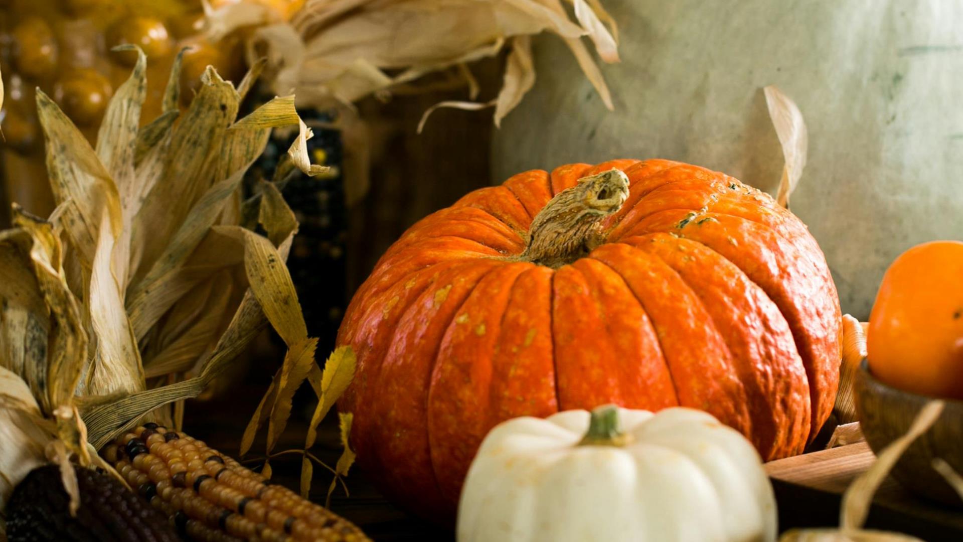 Pumpkins for Halloween Bazaar at Montalto