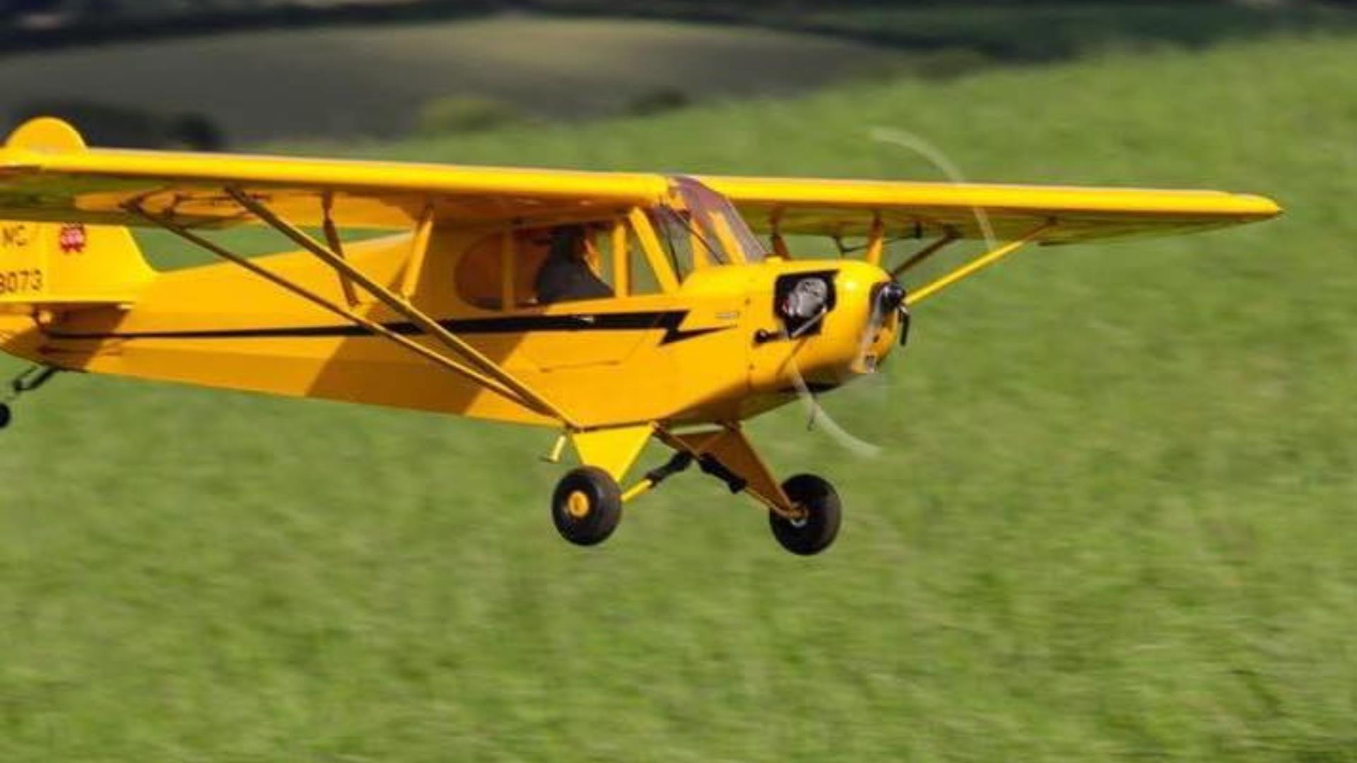 Model aeroplanes sitting on the grass ready to fly.