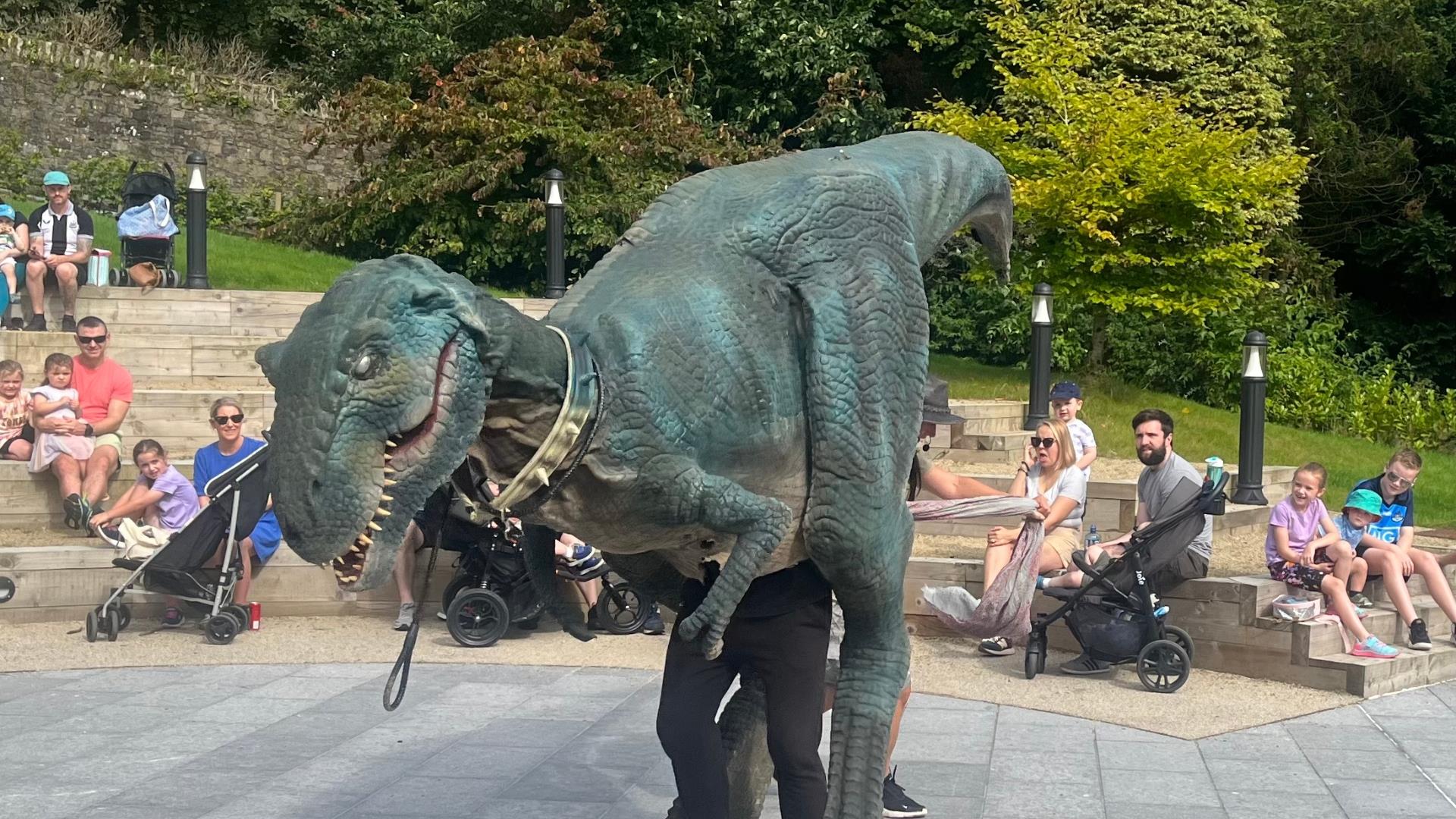 Dino Discovery at Slieve Gullion Forest Park