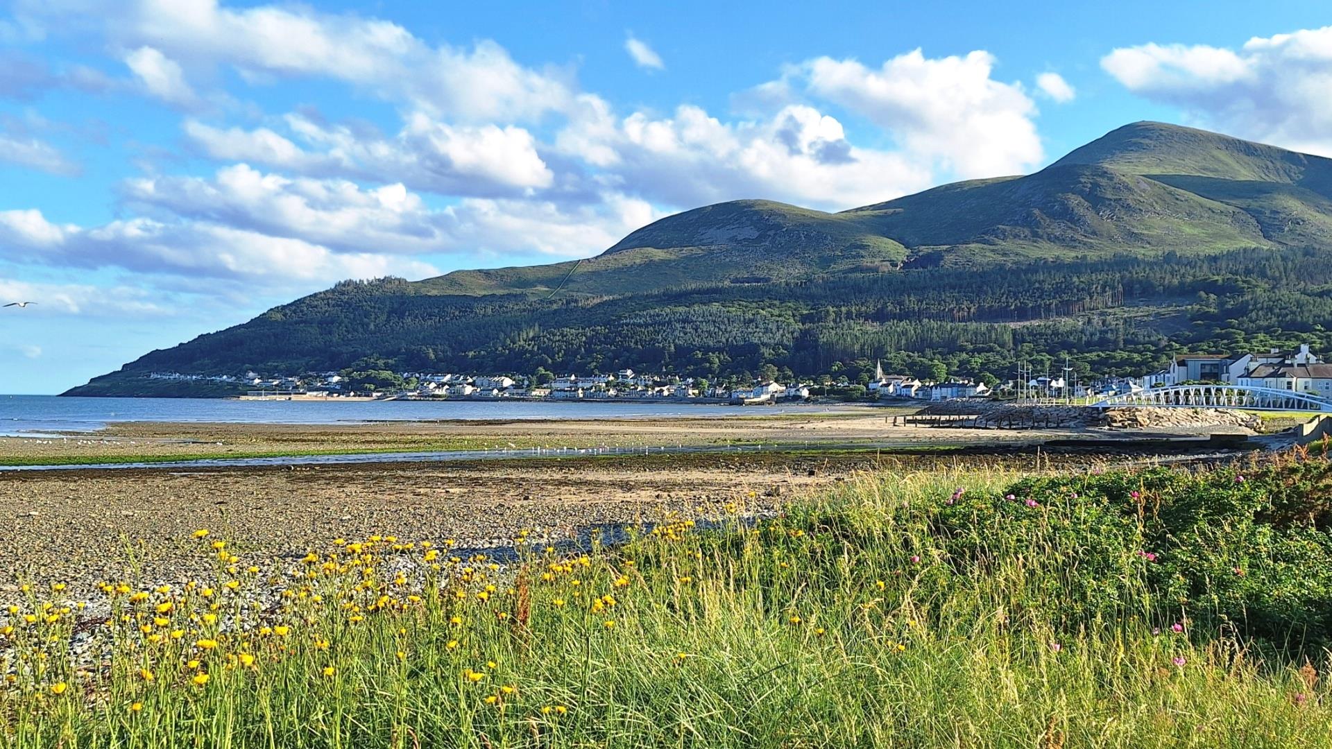 Newcastle Coast View