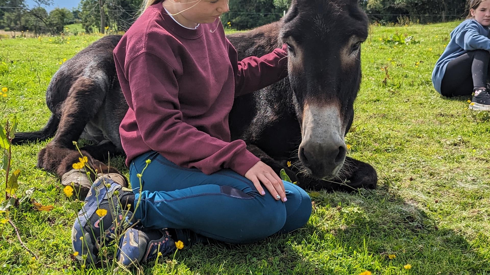 child with lying down donkey, Ballynahinch County Down