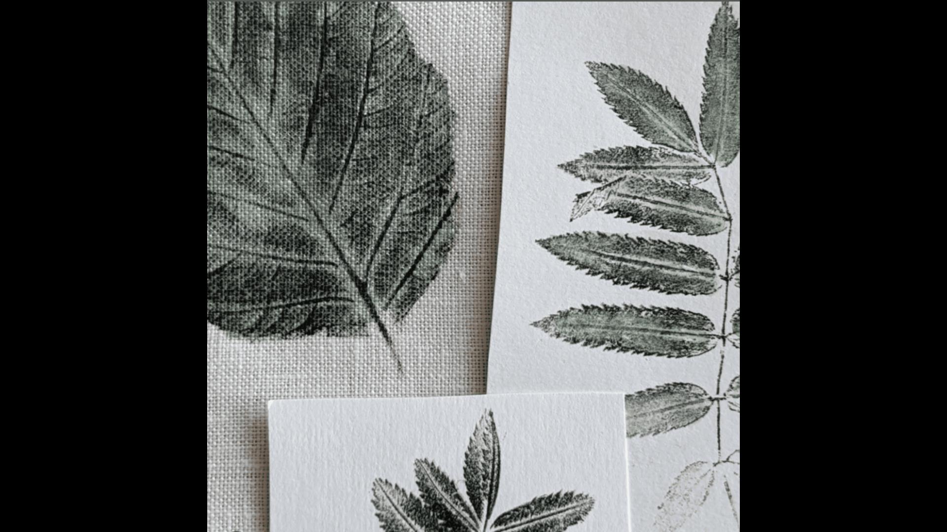 nature prints by Ruth Osborne