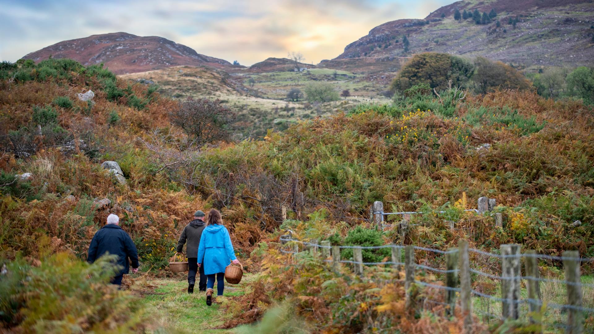 Ring of Gullion