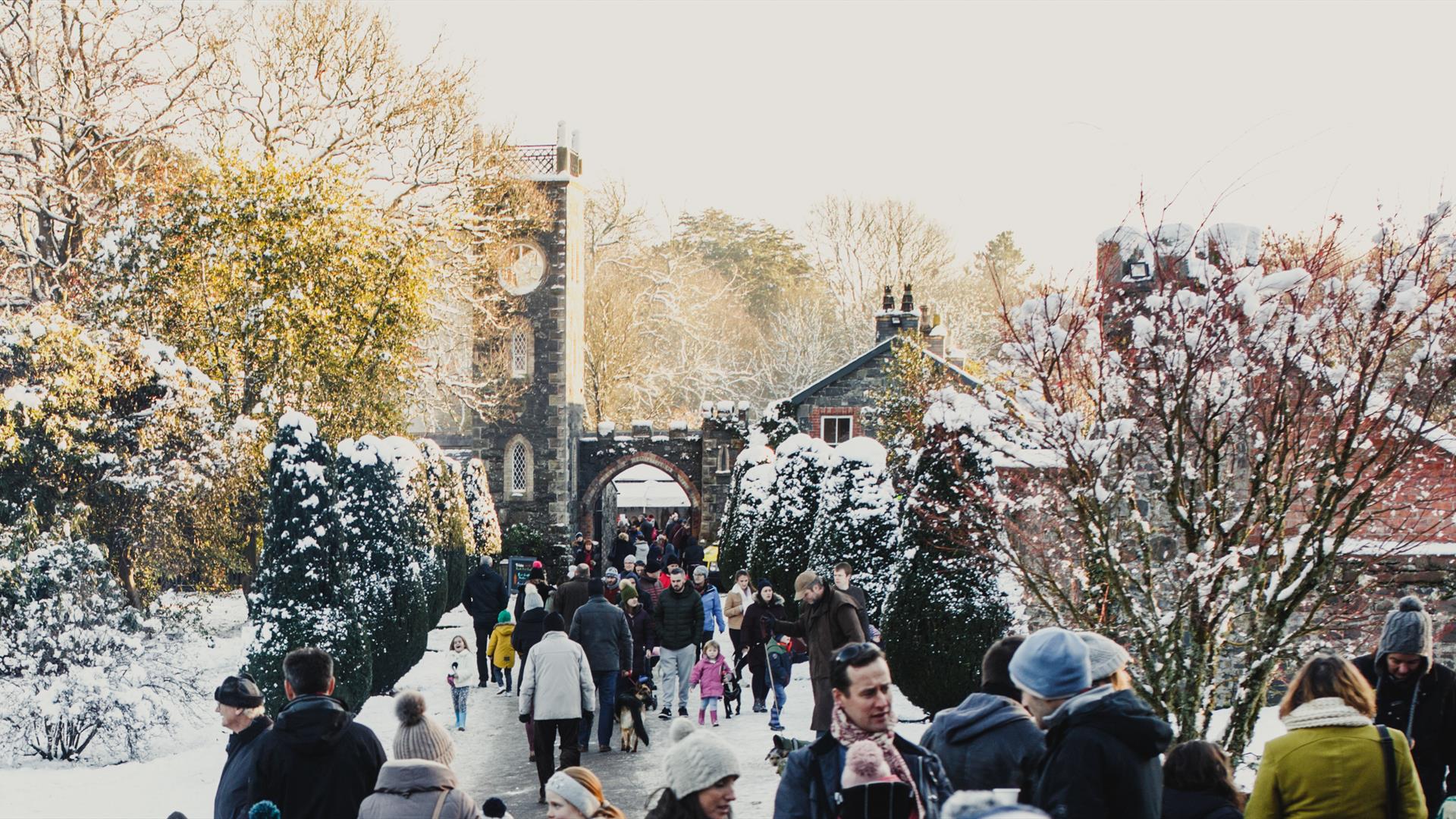 Rowallane Garden, Yuletide scene