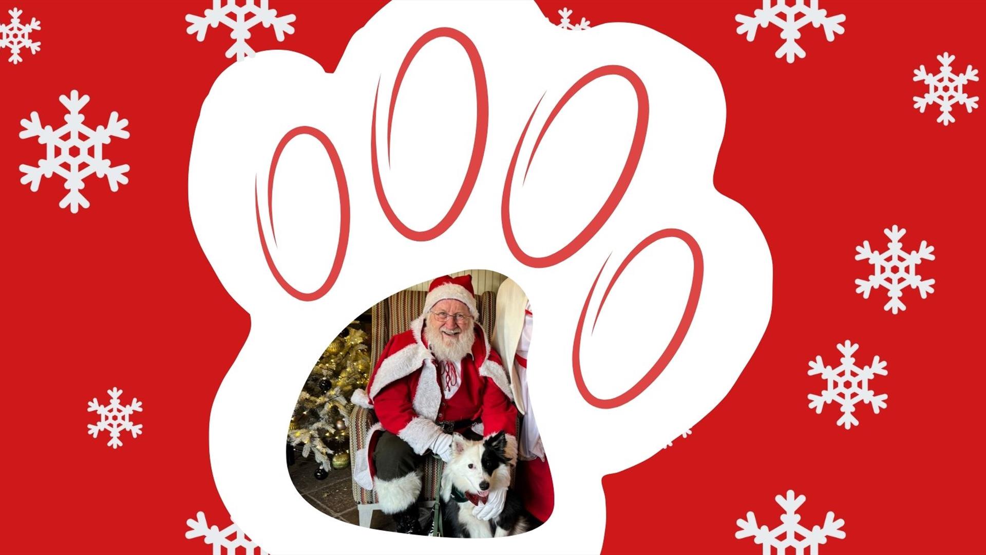 Santa with a dog