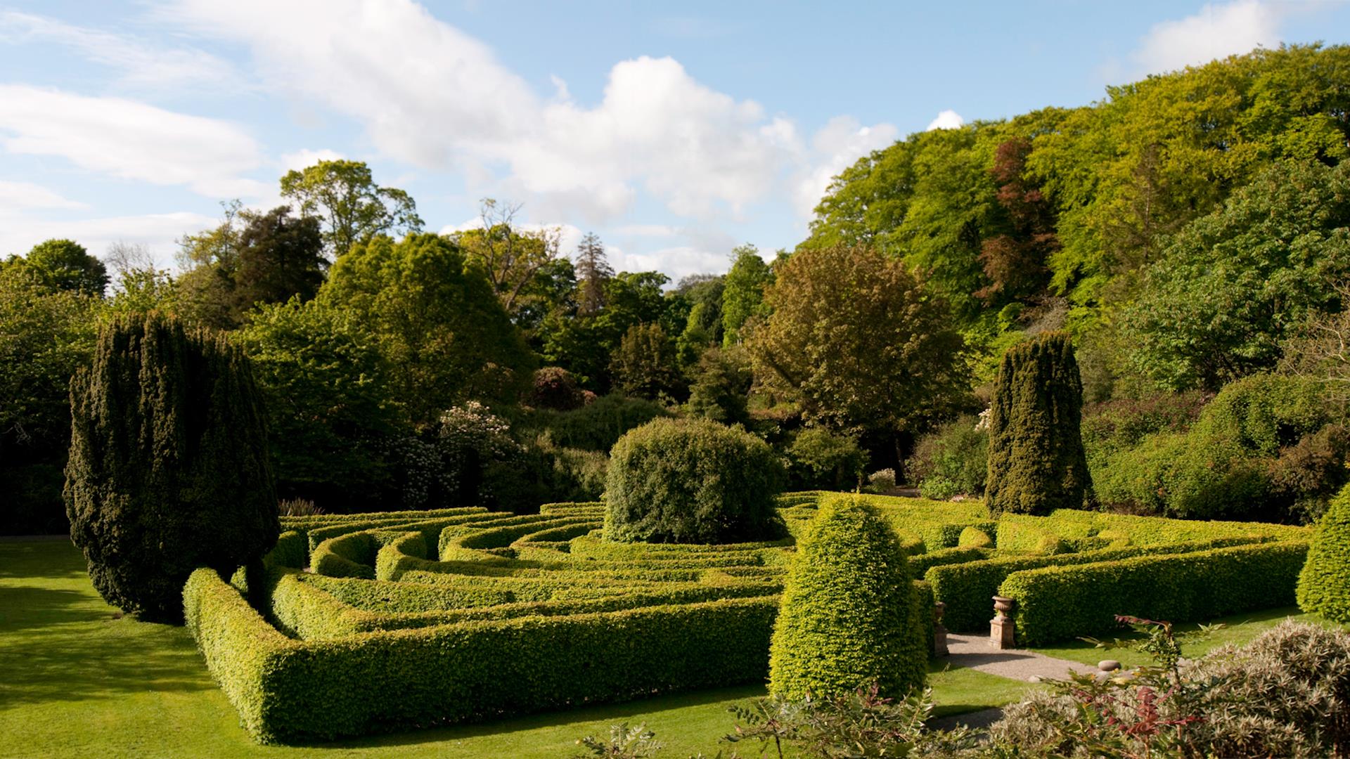 Seaforde Gardens, Maze