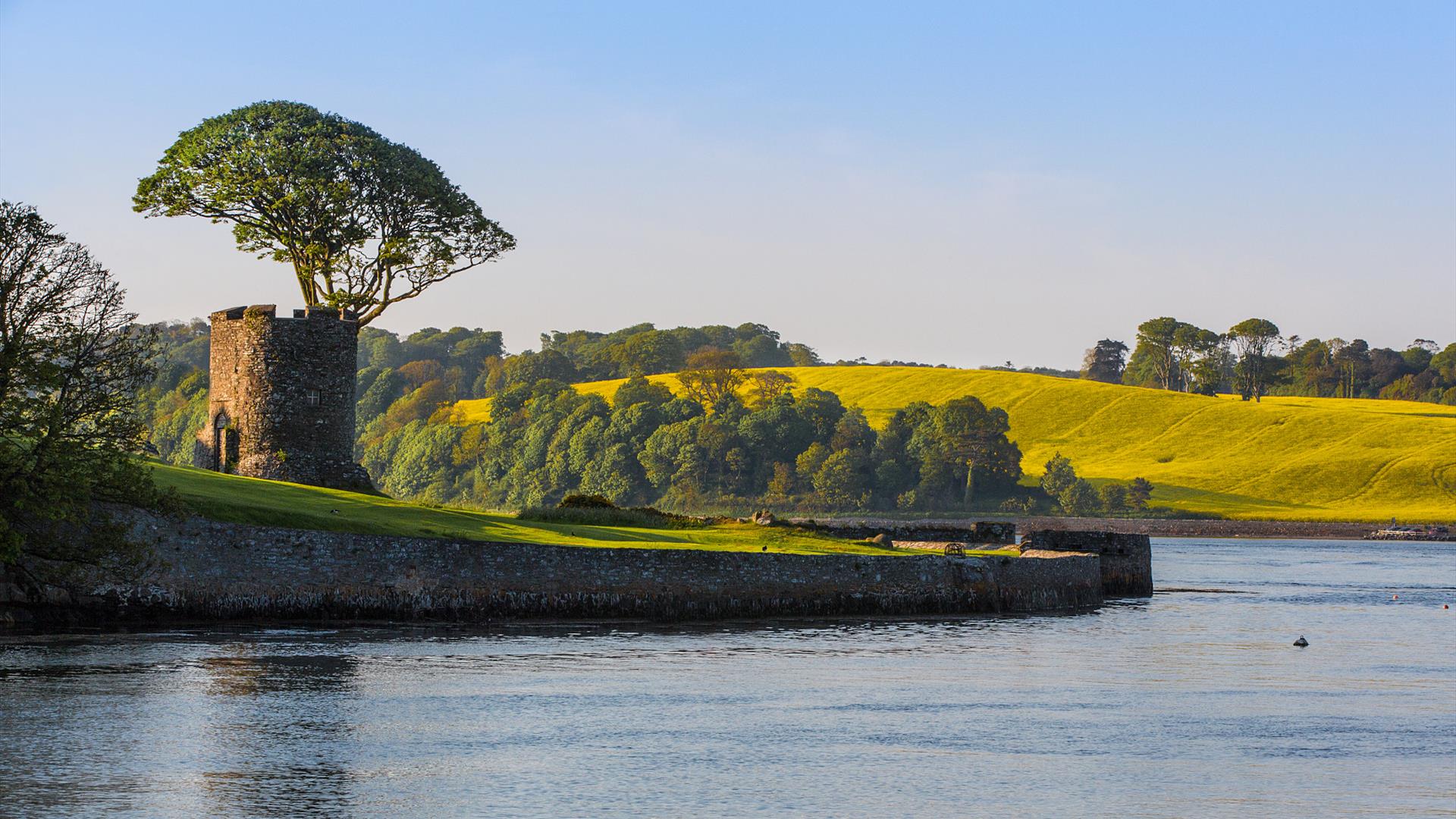 Strangford Lough