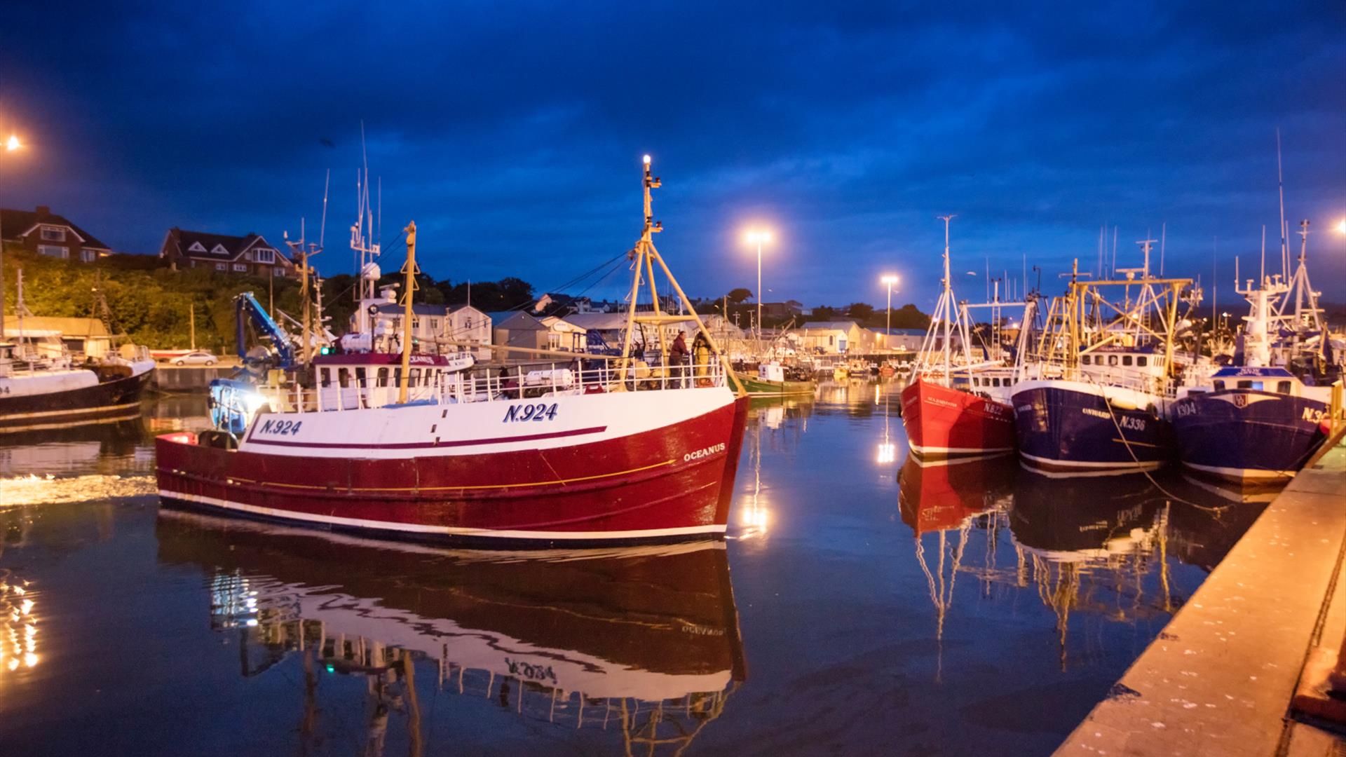 Boats in Kilkeel Harbour at Night