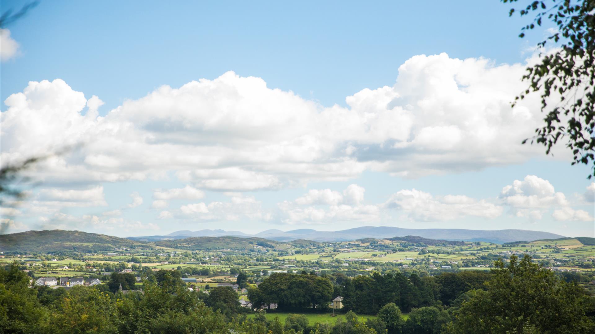 View from Gullion