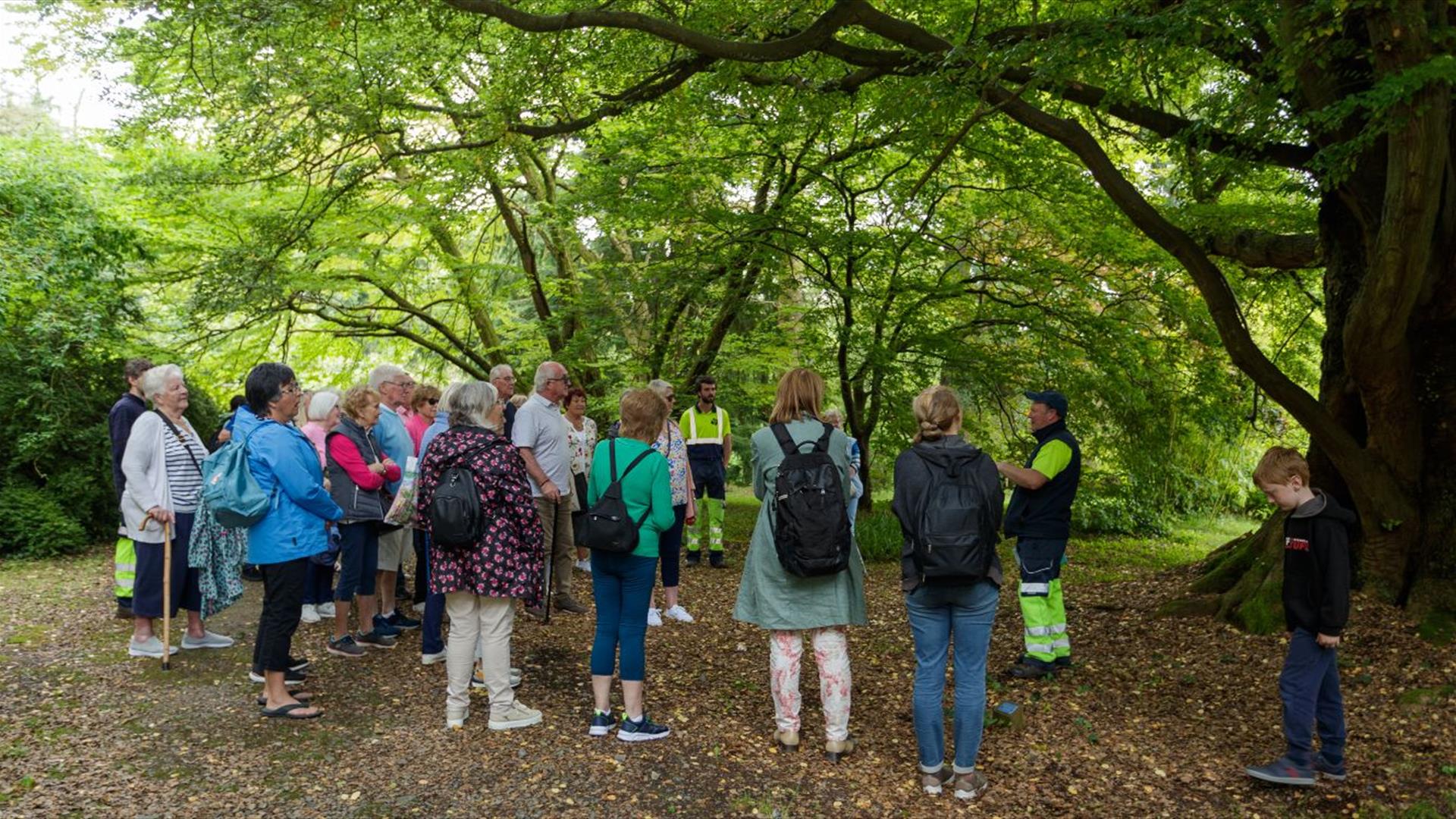 Tour Castlewellan Historic Demesne