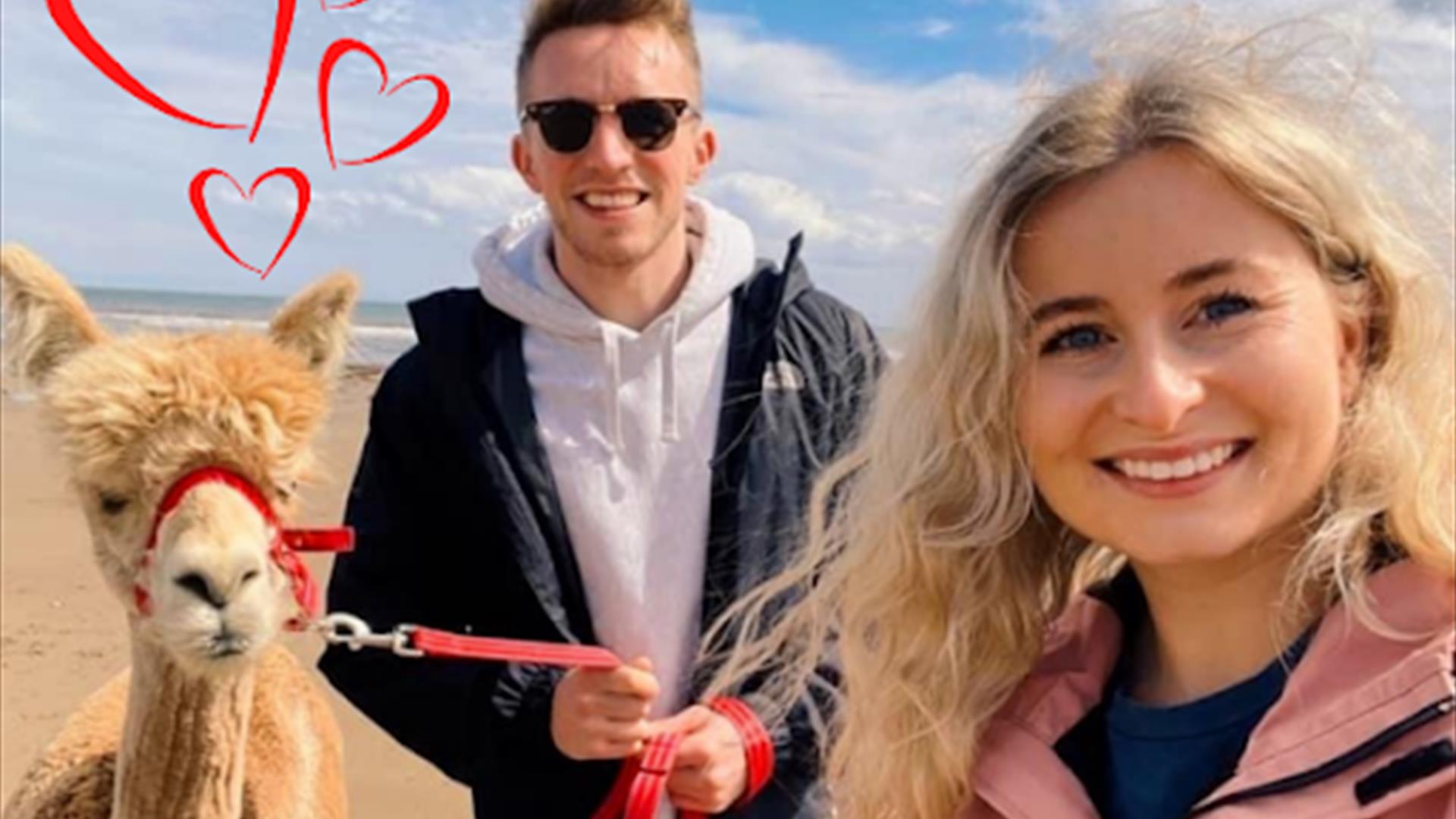 Valentines Alpaca Beach trek