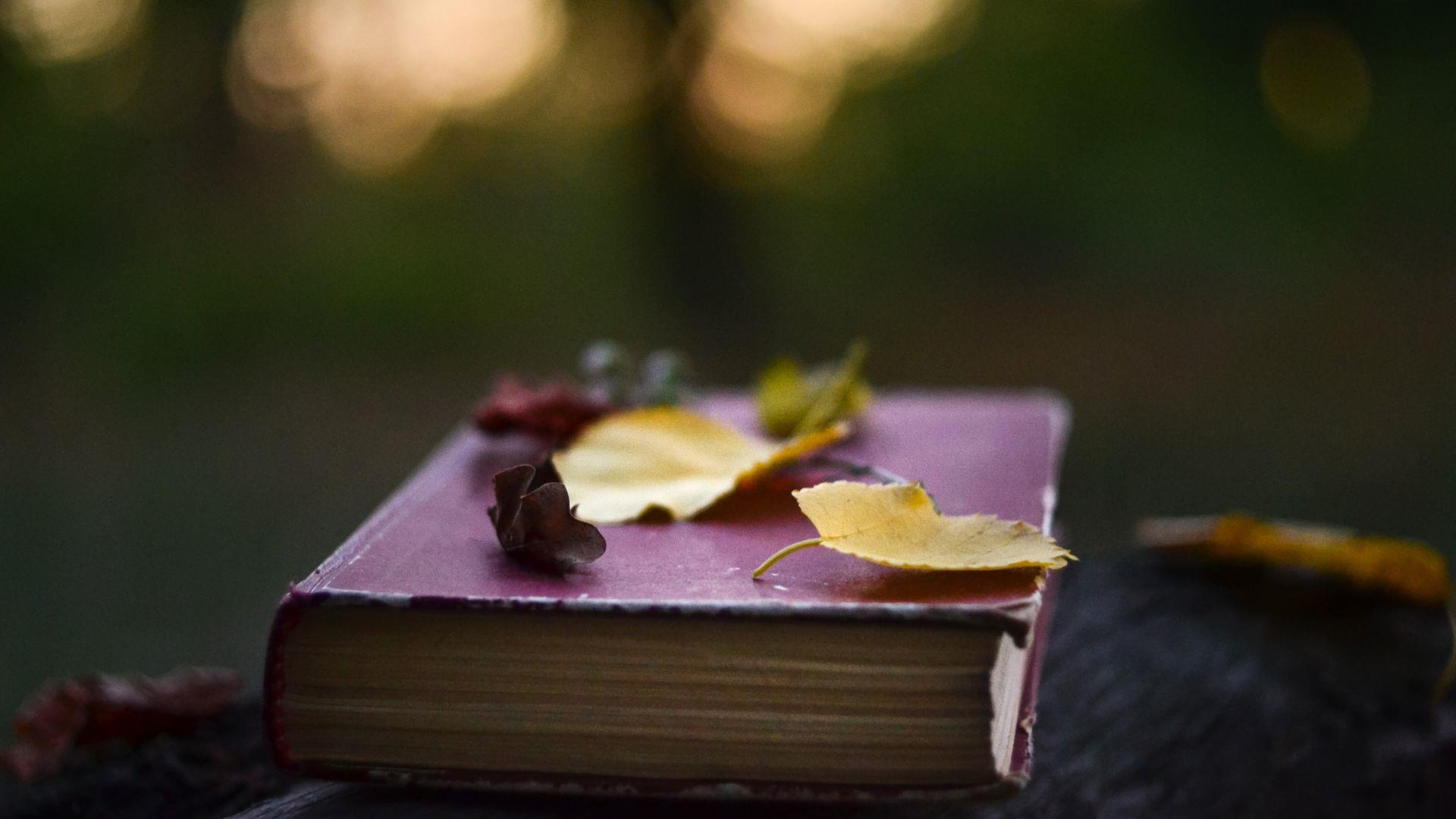 wild about poetry