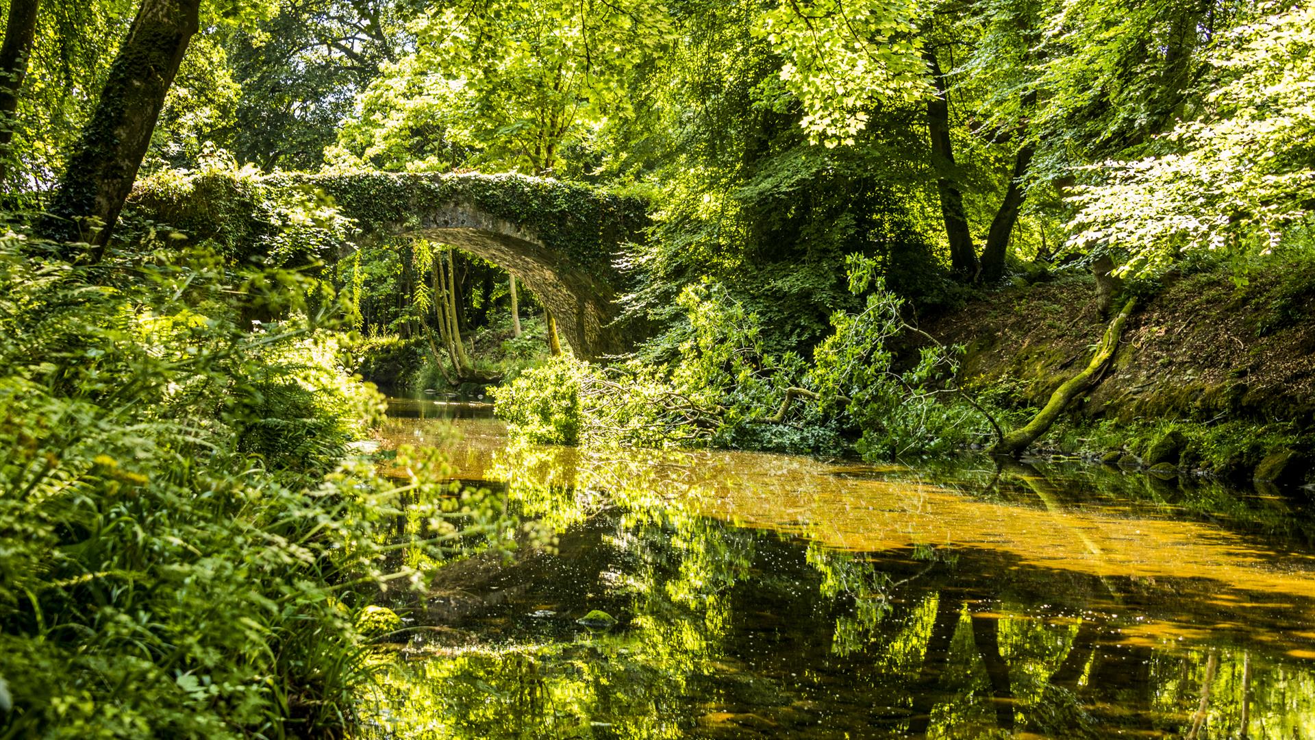 Mourne Park image of water surrounded by lush greenery and bridge