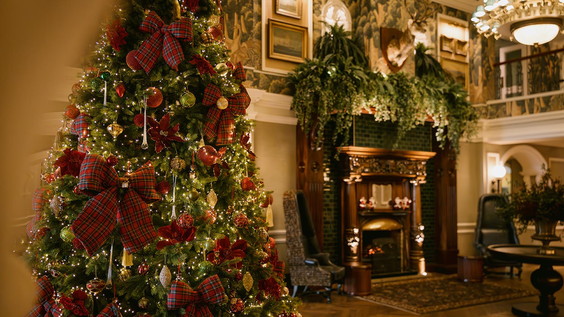 Image of Christmas Tree beside fireplace in Slieve Donard Hotel