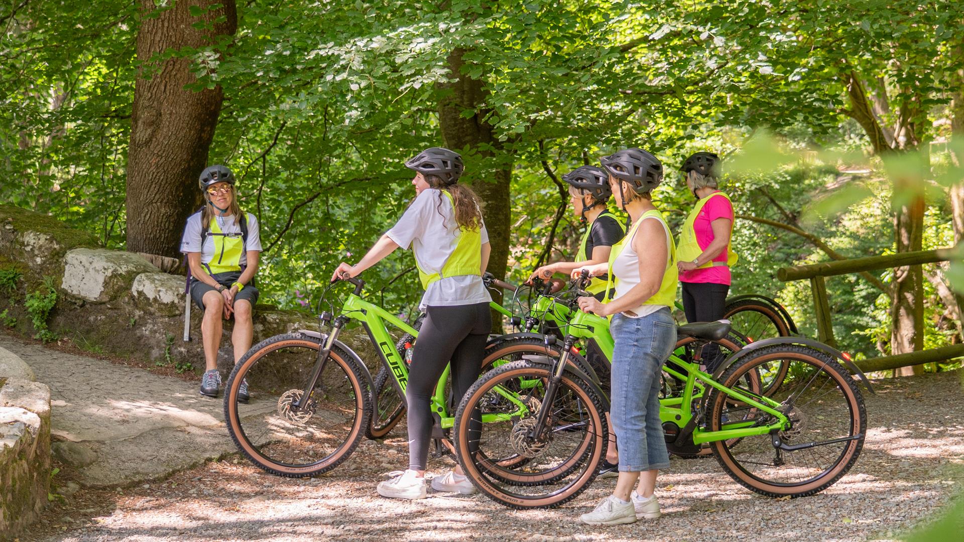 Tollymore Forest E-Bike Tour