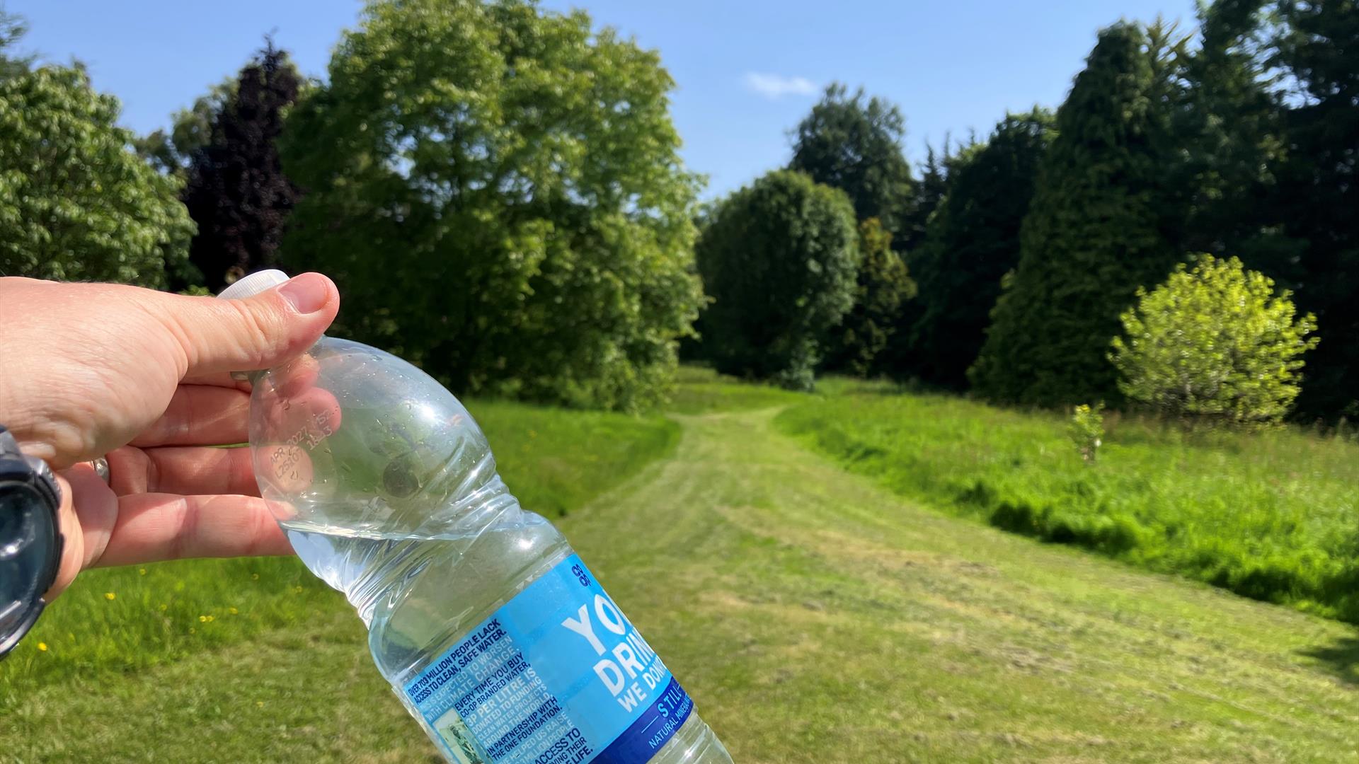 Bottle in field