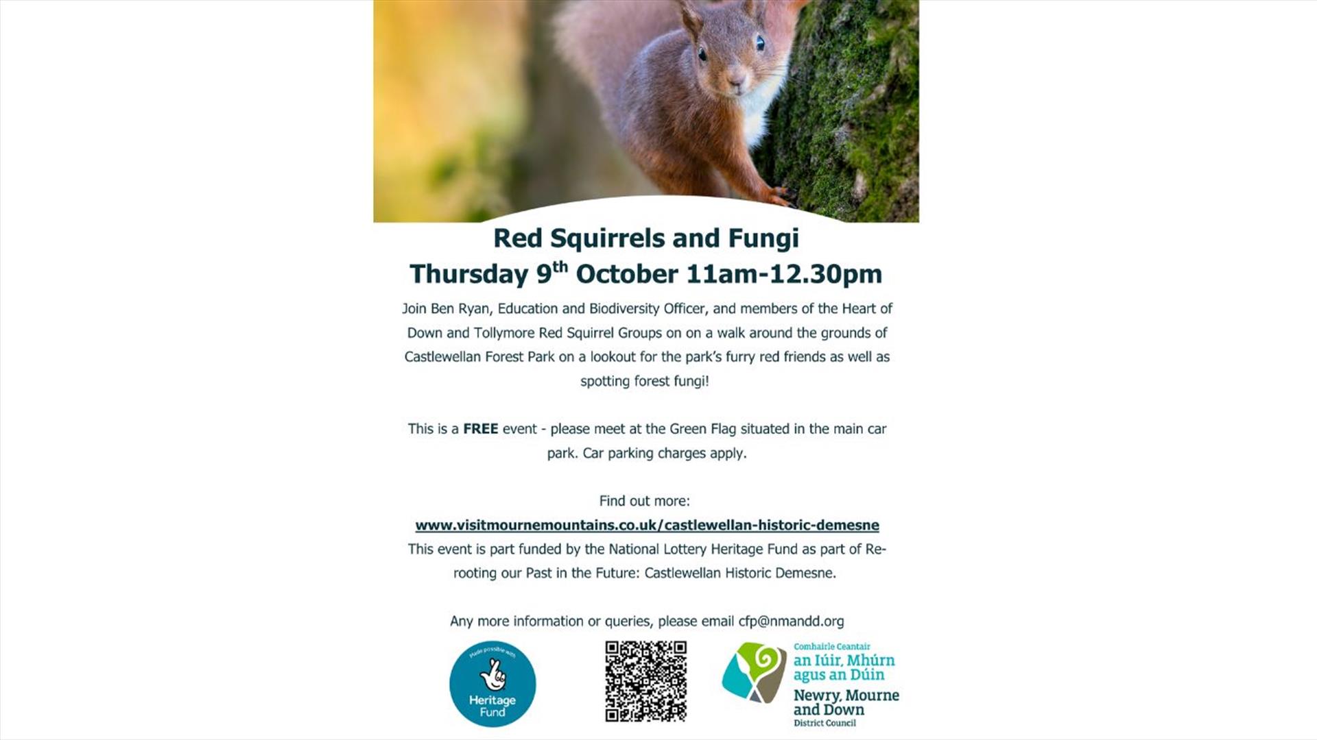 Red Squirrels and Fungi