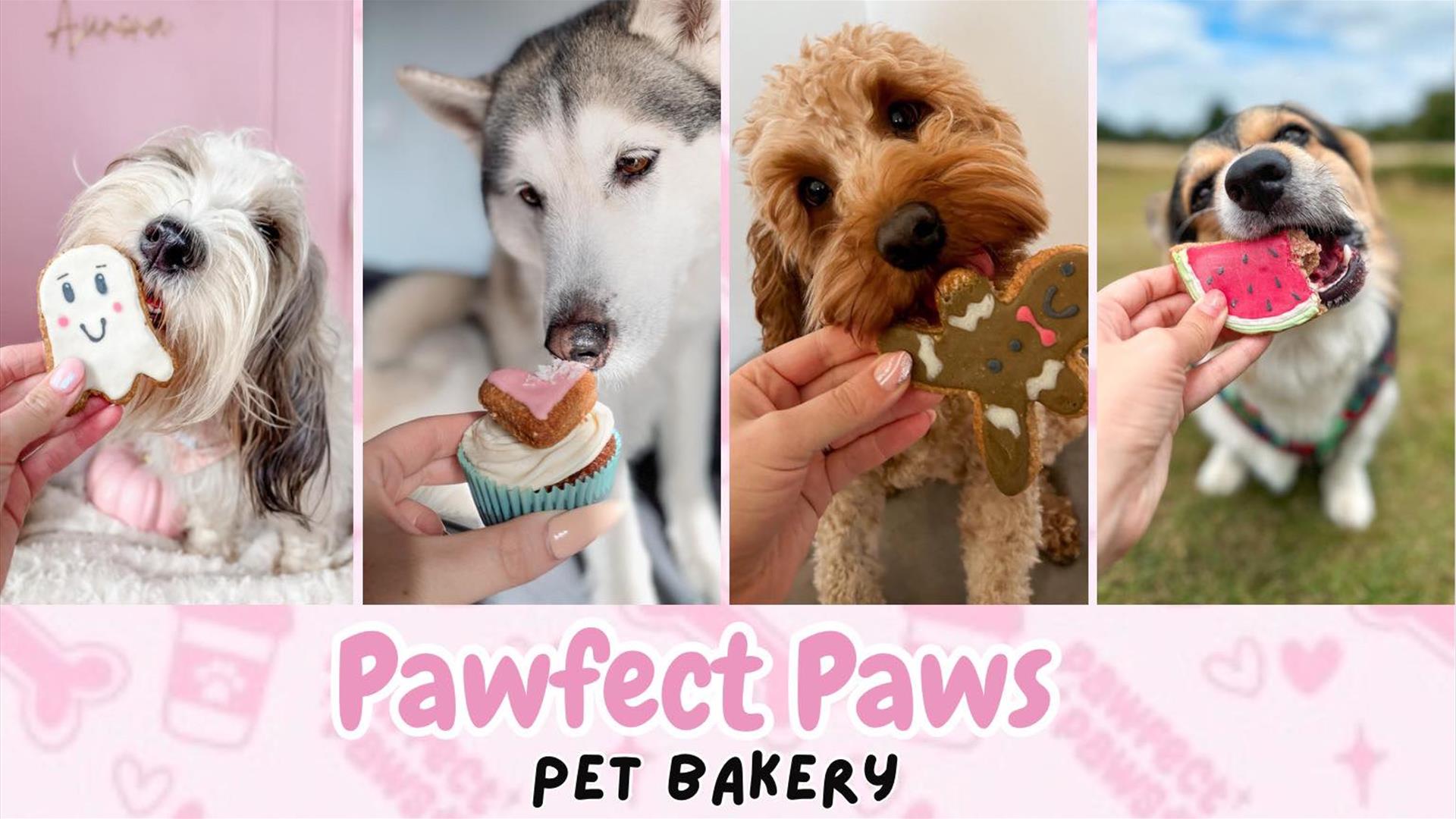 4 dogs with different types of doggy biscuits