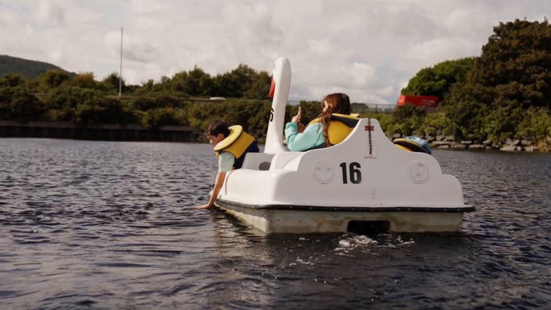 family on swan pedlos