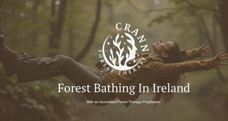 Forest Bathing in Castlewellan Forest Park