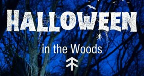 Halloween in the Woods