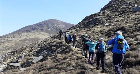 On the right trail, Mourne Mountains