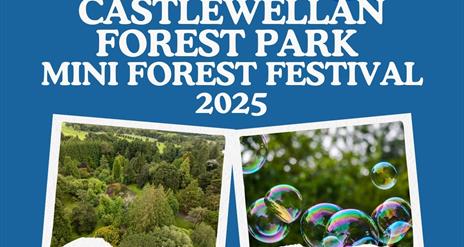 Mini Forest Festival