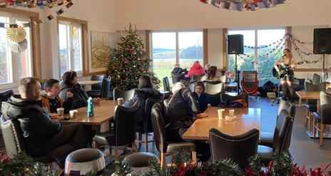 Debs Fitzsimons Performs some Christmas classics at Down County Museum. In the background are a Christmas tree and paper chains