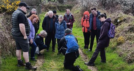 Foraged Food Slieve Gullion