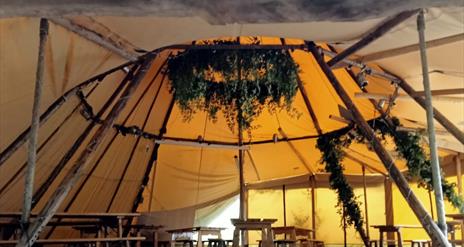 Echoes of the Wild - Sound Bath in the Woods