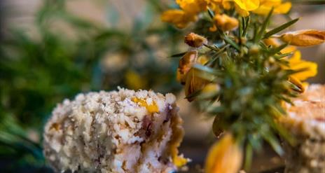 A pictures of a homemade fifteen from Mourne Food Adventures.  The fifteen is made using local whin (which is yellow in colour), sourced from the Mour