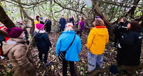 Body song Ireland group walking in Castlewellan Forest Park