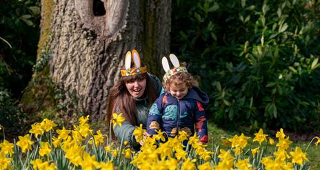 Family enjoying easter trail at Rowallane Garden