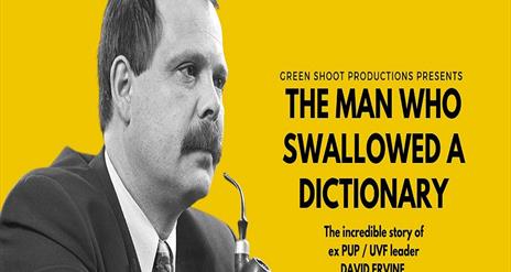 David Irvine, Down Arts Centre