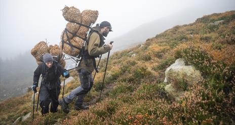 Conservation in Action