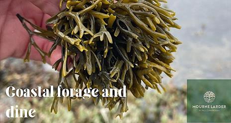 Coastal Forage and Dine