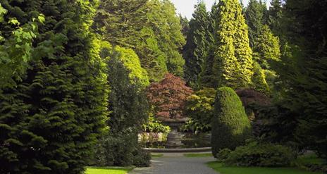 View of the Annesley Walk in Castlewellan Forest Park